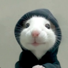 Fizzwick Bramblewhistle